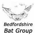 Bdfordshire Bat Group logo